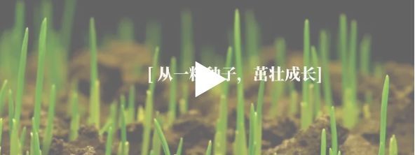 【视频】聚力十年，创新未来！青岛聚创环保集团有限公司十周年快乐！