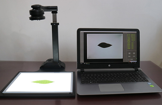 JC-LAM-D拍照式叶面积仪（电脑版）